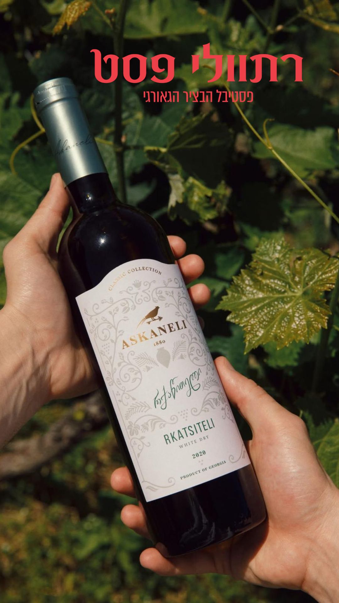 רתוולי פסט יין לבן אזקנזלי ברדרס